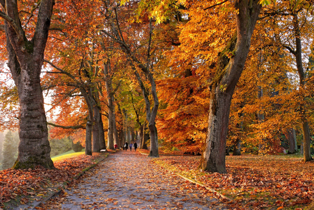 best seasons to visit japan